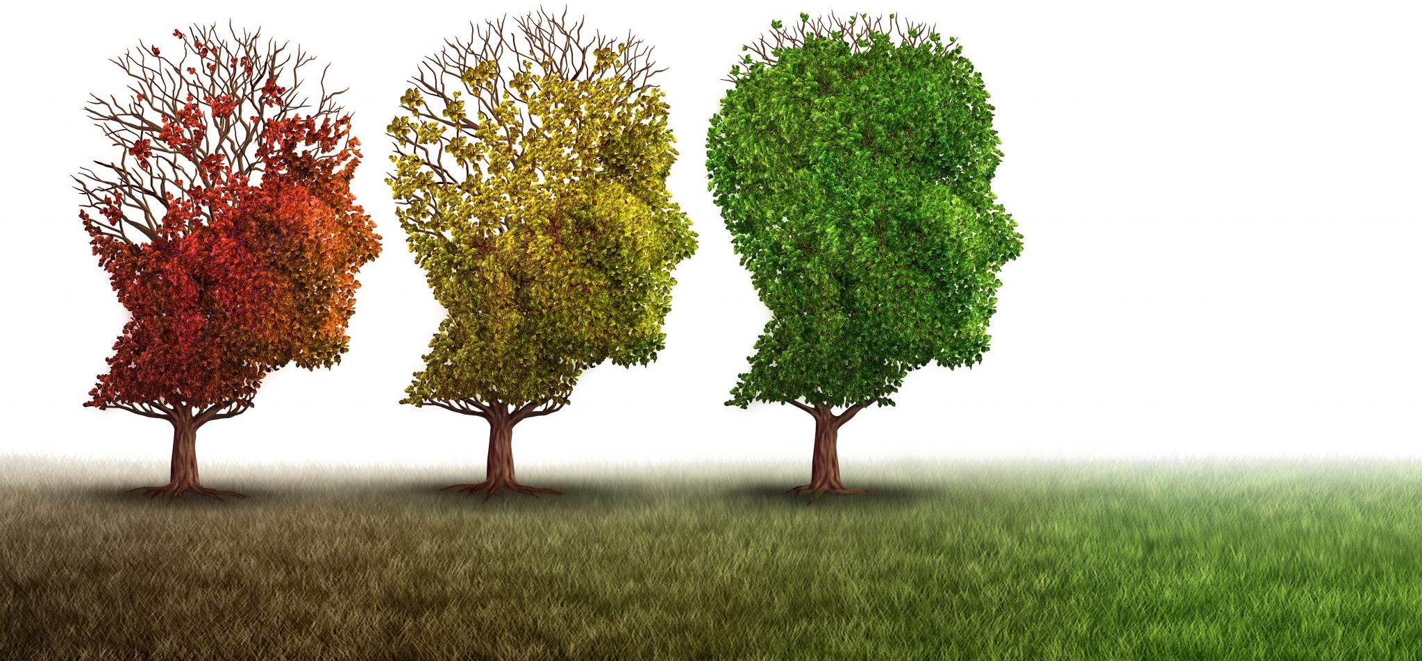 Southwest Health Enhancing Mental Health Treatment with Psychotherapy